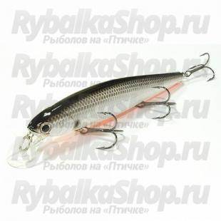 Slender Pointer 112 007.jpg